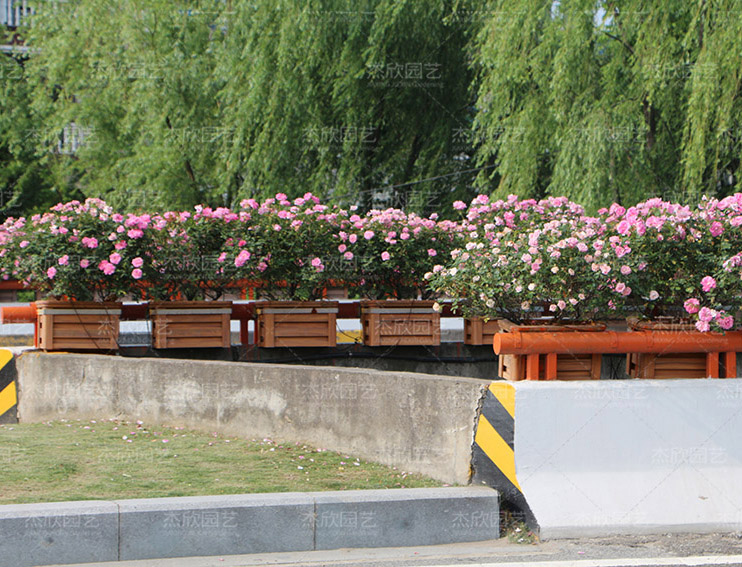 橋梁懸挂花箱30公裏浙江嘉興案例