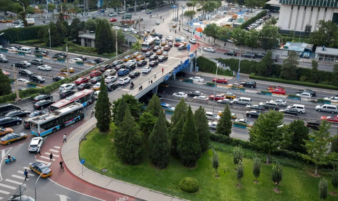 《城市道路綠化設計标準》解讀